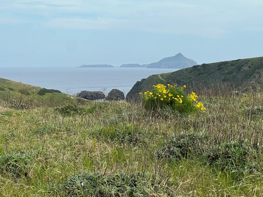 Channel Islands10