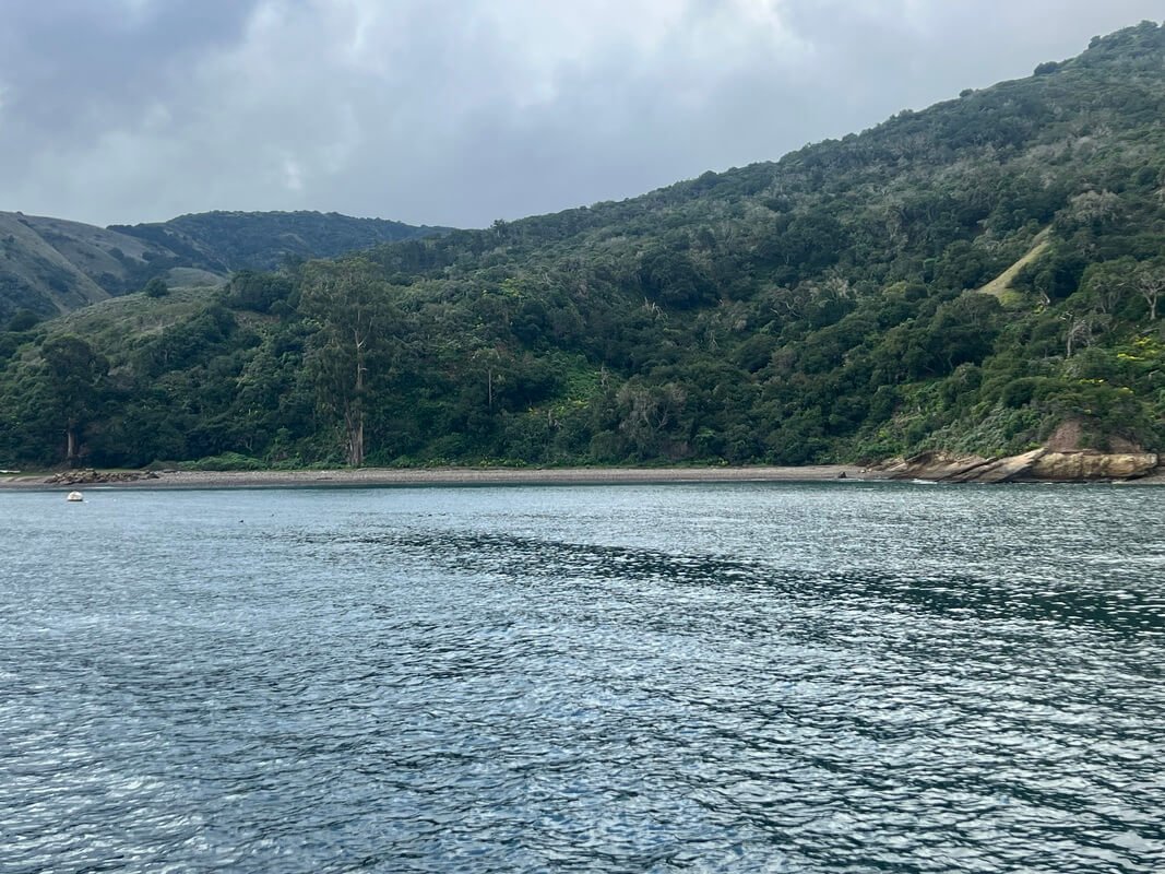 Channel Islands5