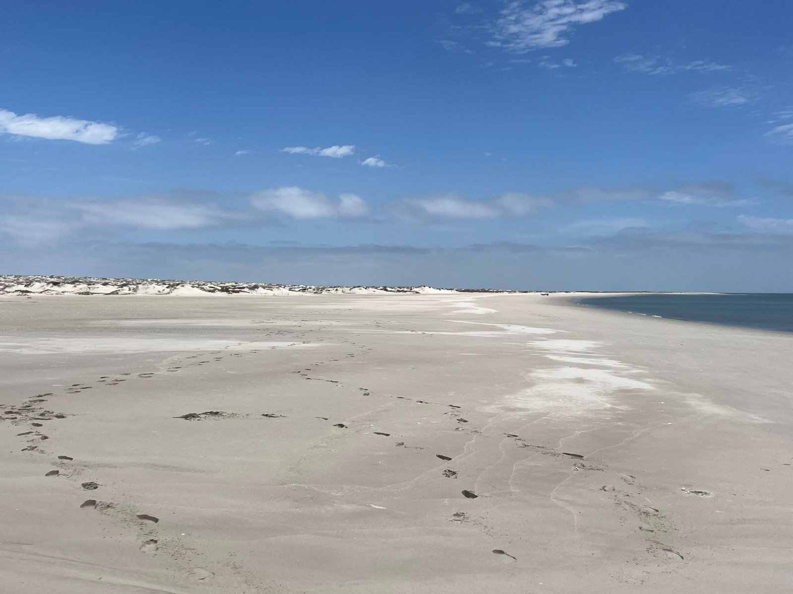 baja-peninsula (4)