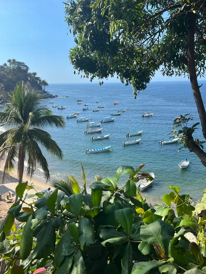la-cruz-to-barra-de-navidad-passages (3)