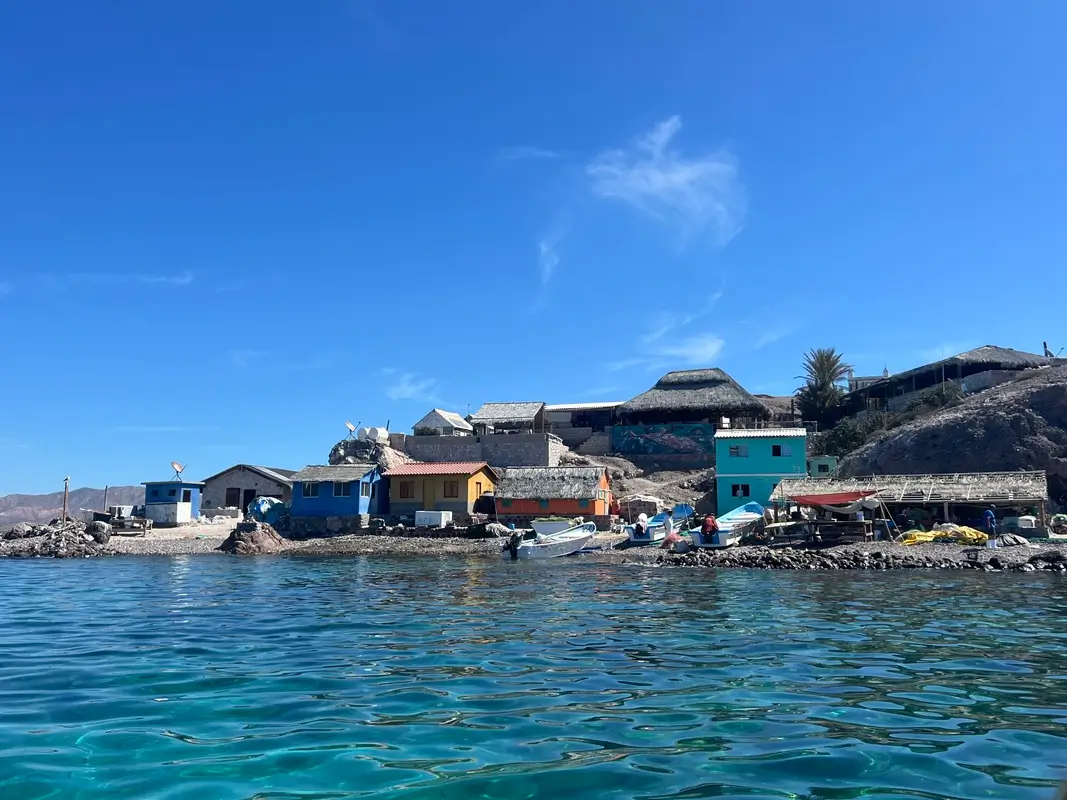 southern-sea-of-cortez (1)