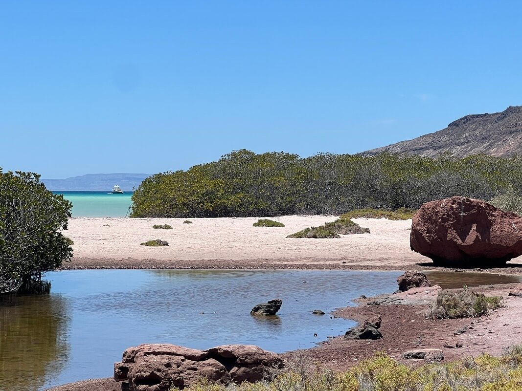 southern-sea-of-cortez (5)